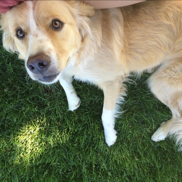 Meet your Posher! - Picture 1 of 1